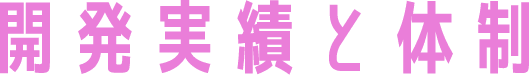開発実績と体制